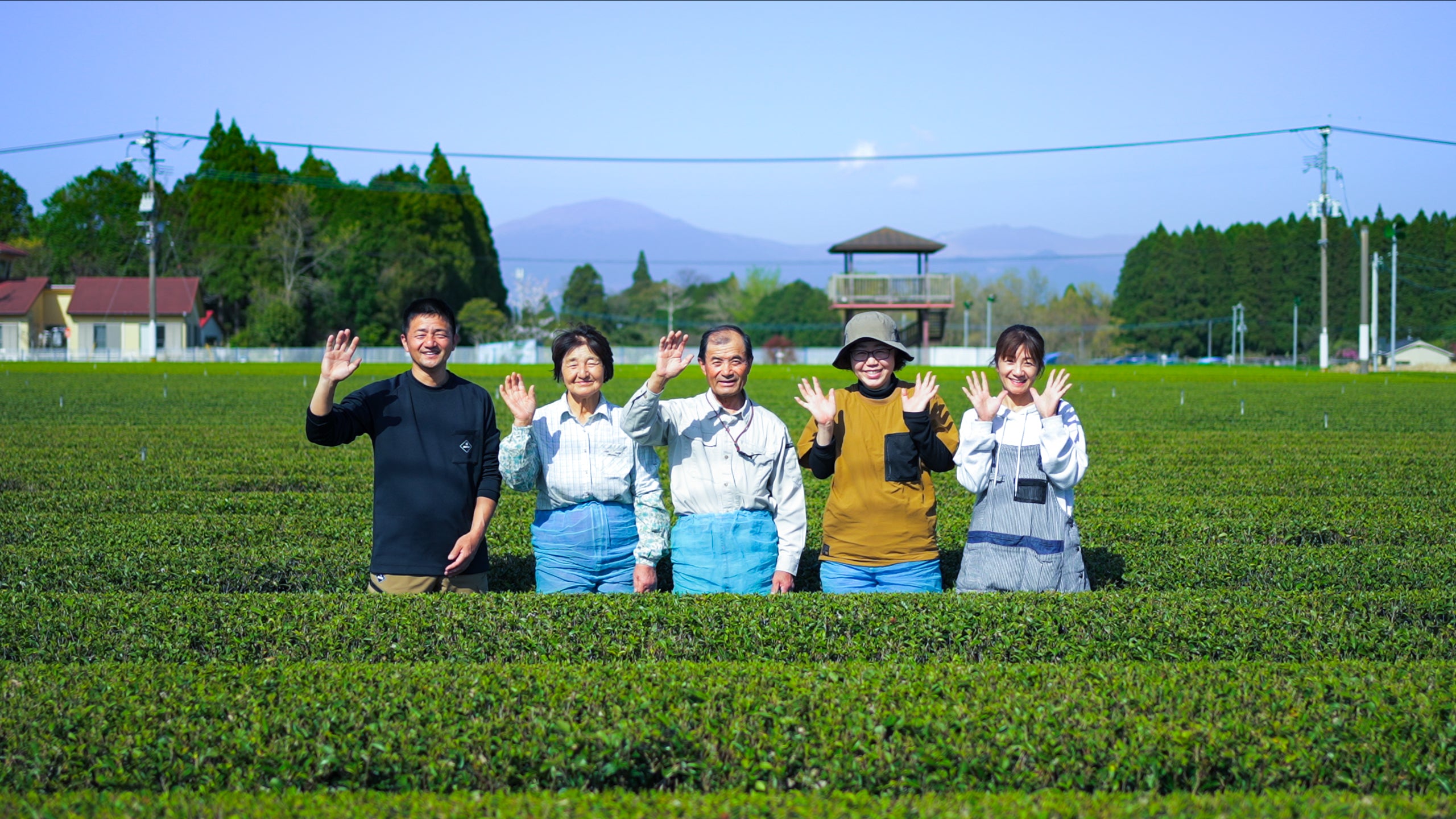 「令和6年鹿児島県茶品評会」にて九州農政局長賞・県茶生産協会長賞受賞