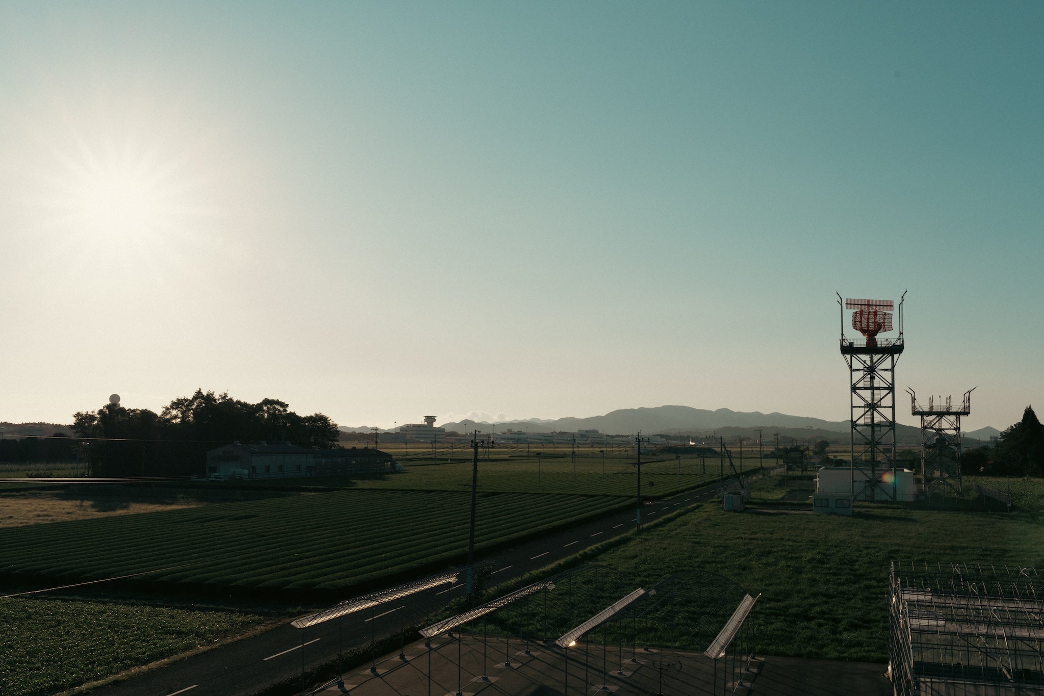 朝の光に包まれる霧島・鹿児島空港近くの茶畑 / Morning light over our tea fields near Kagoshima Airport, Kirishima - 今村茶園