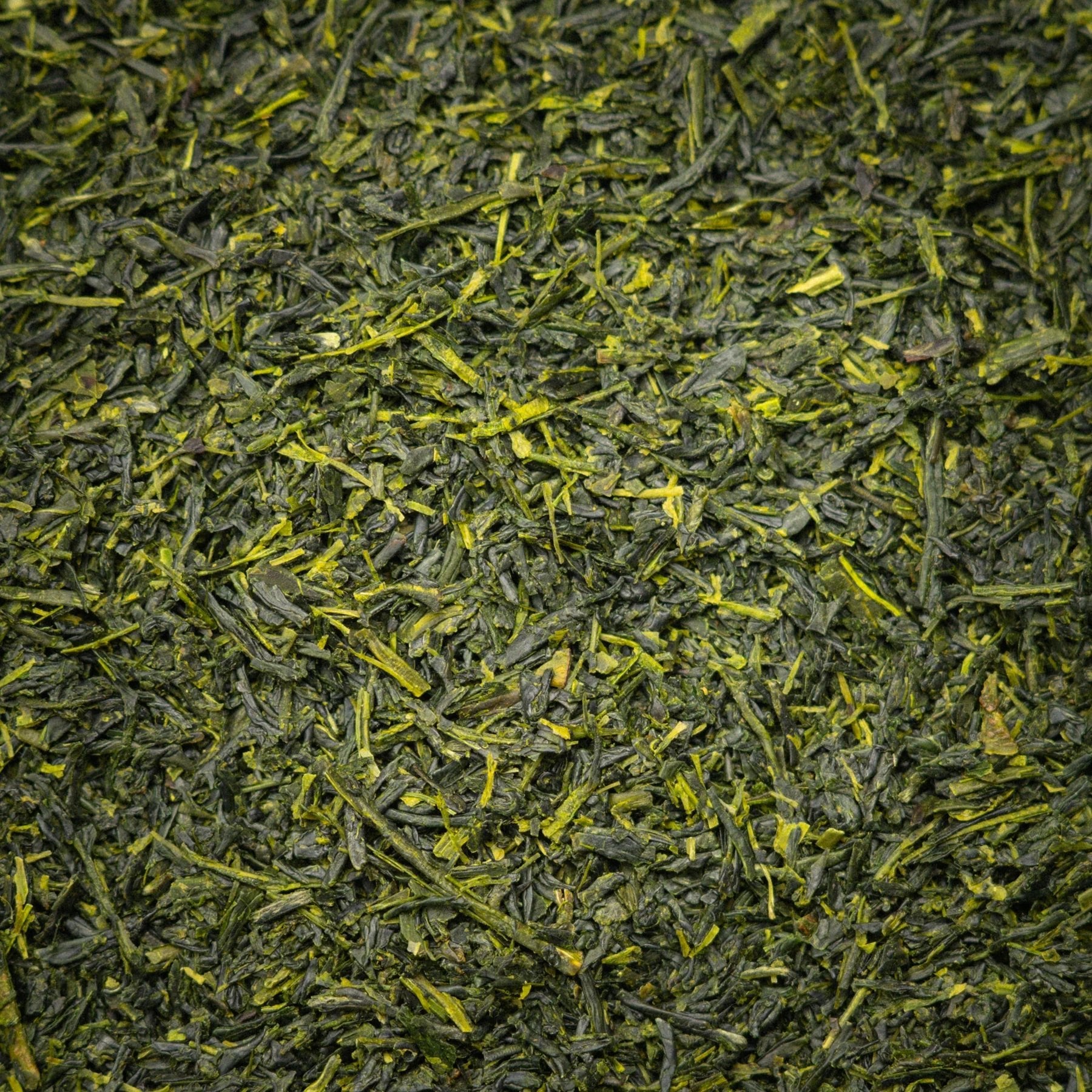 霧島産煎茶の茶葉アップ(深い緑の細い茶葉)/ Close-up of Kirishima sencha loose green tea leaves, Kagoshima - 今村茶園