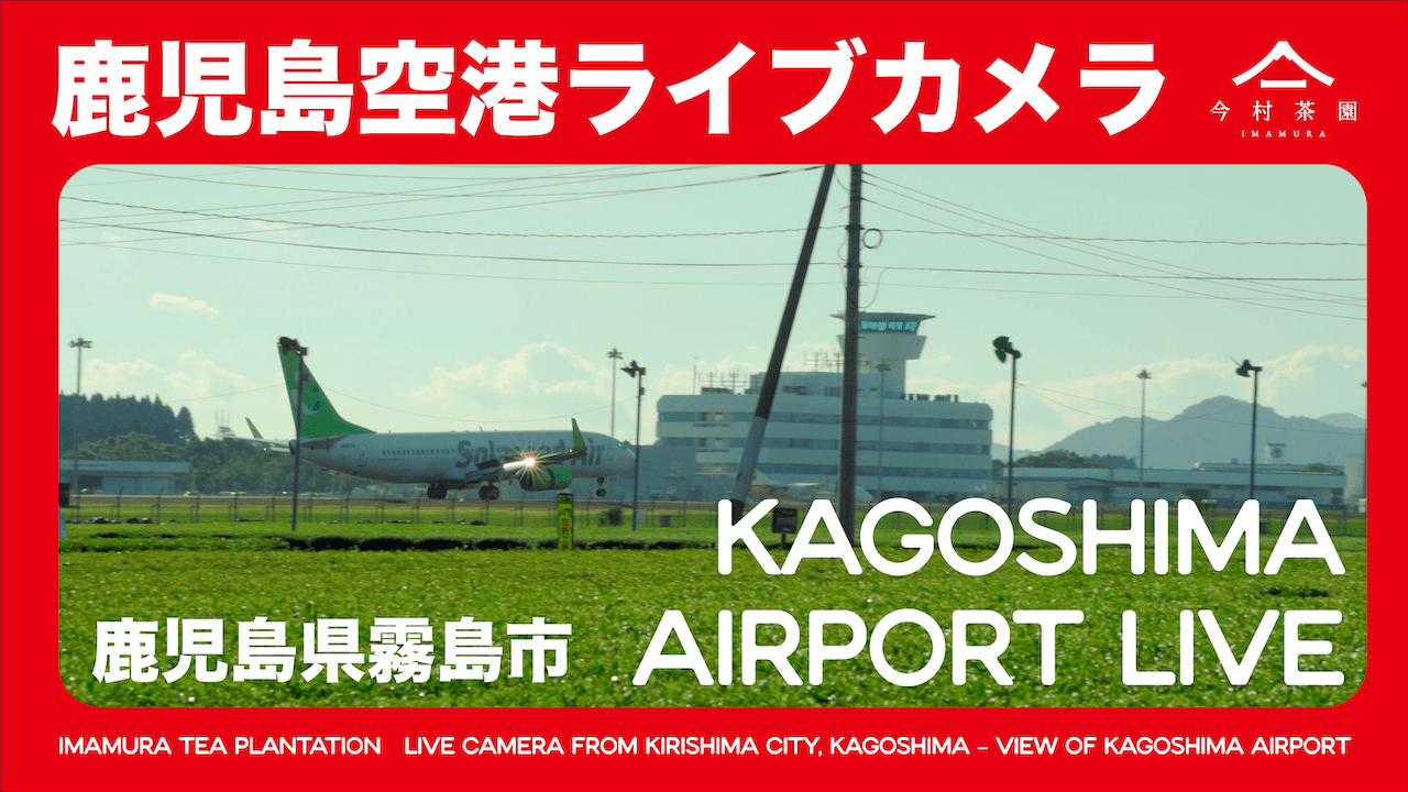 鹿児島空港・霧島連山を望む「ライブカメラ」配信開始のお知らせ - 今村茶園