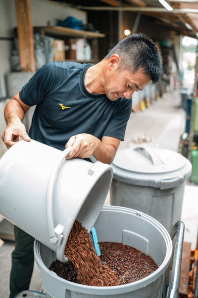 霧茶人｜有機煎茶 - 今村茶園