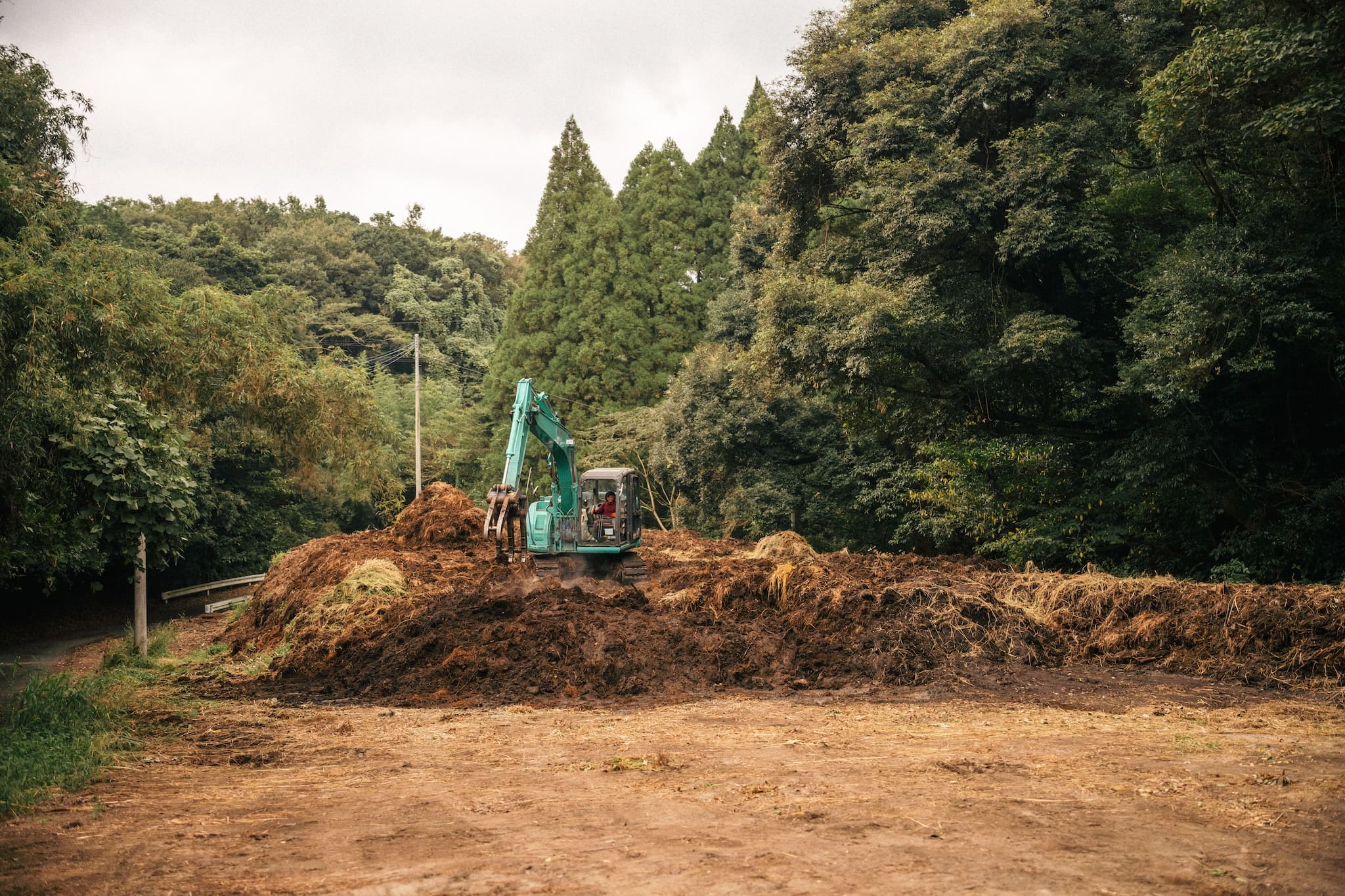 The Making of Tea — Maison IMAMURA | From Kirishima's Fields to