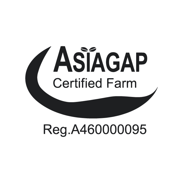 Imamura Tea Plantation – ASIAGAP Certified Farm, Reg.A460000095, Kirishima Kagoshima Japan