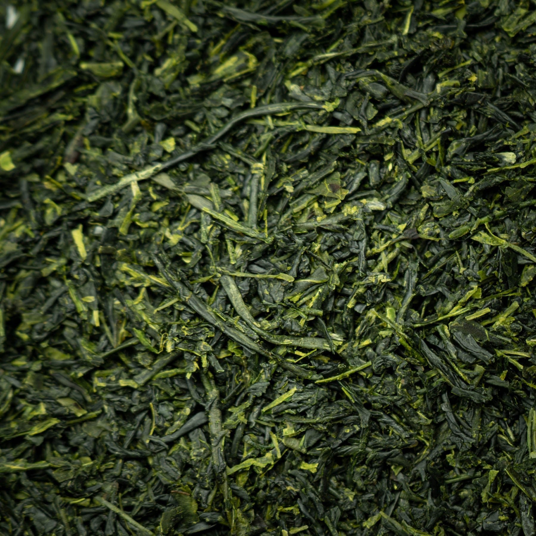 茶葉のクローズアップ（鹿児島県産・霧島茶の煎茶）/ Close-up of Kirishima sencha green tea leaves, Kagoshima - 今村茶園
