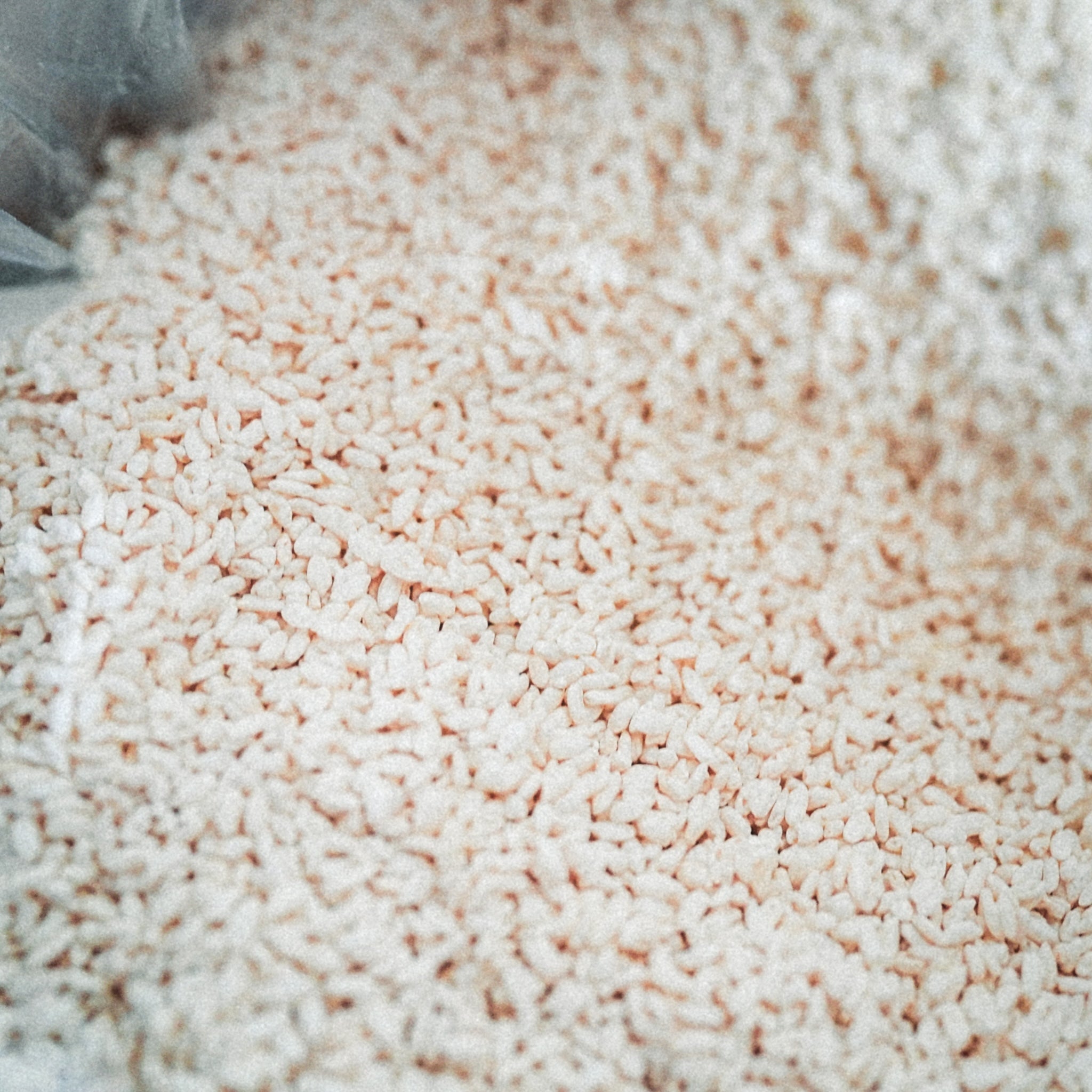 有機栽培に使う米麹のクローズアップ｜霧島の有機煎茶づくり / Close-up of rice koji used for organic tea cultivation in Kirishima, Kagoshima - 今村茶園
