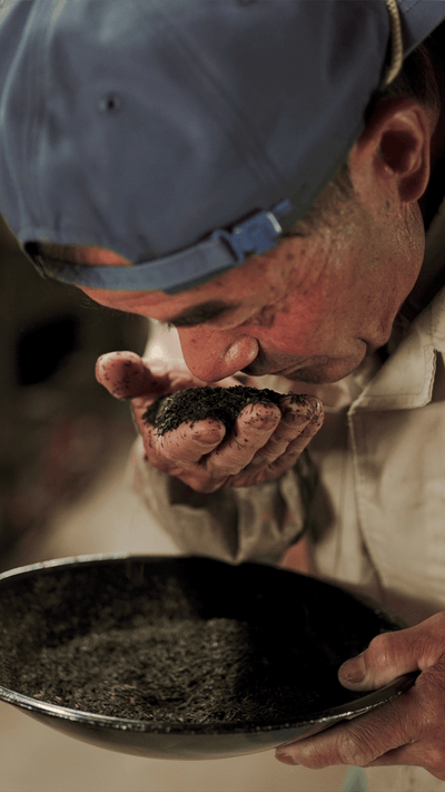 手のひらの茶葉の香りを確かめる茶師｜霧島茶の仕上げ工程 / Tea master smelling finished tea leaves in his palm, Kirishima tea finishing - 今村茶園