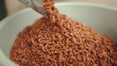 Kiritachi KIRISATO Organic Sencha / Organic / Produced in Kirishima, Kagoshima Prefecture