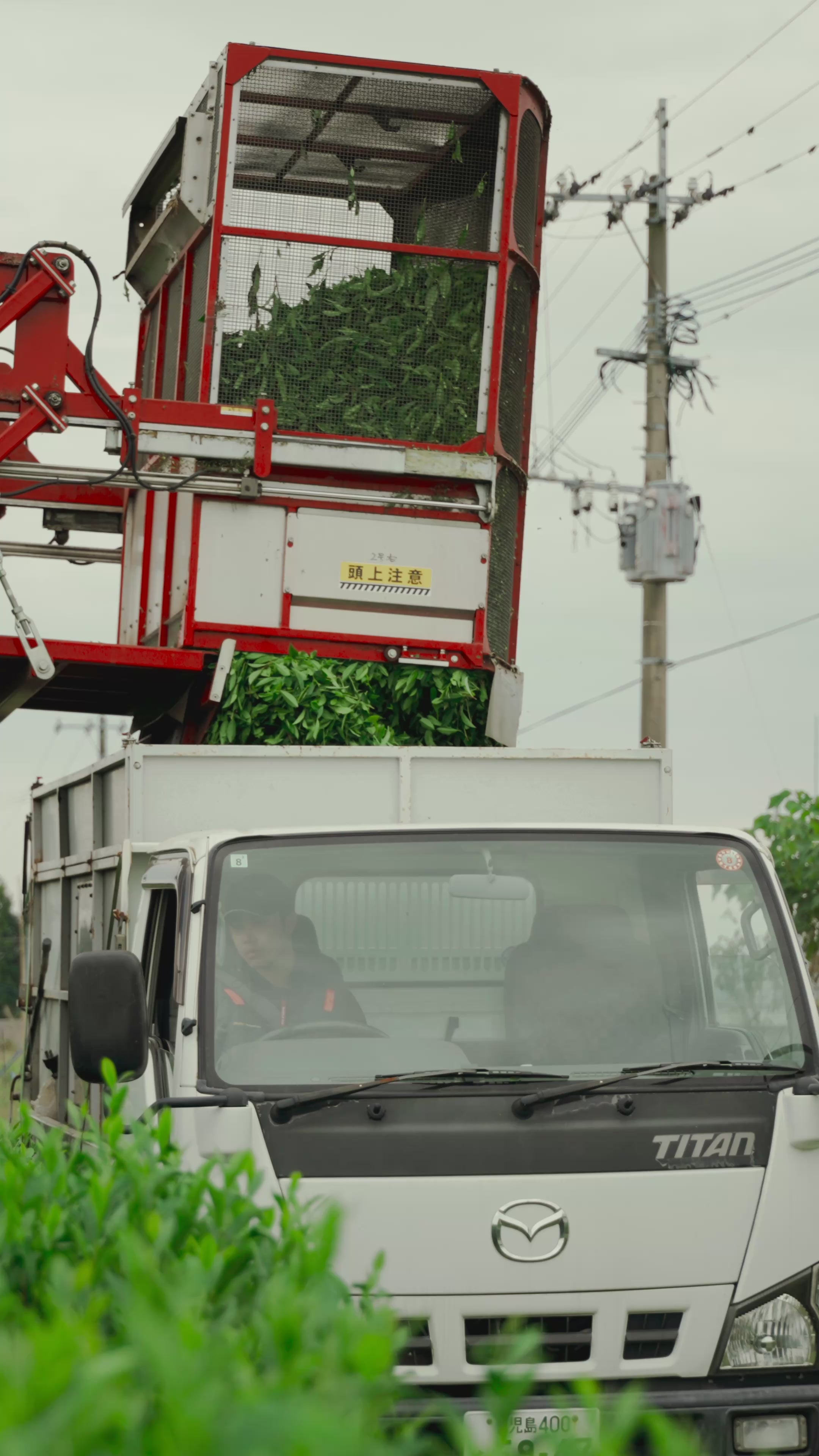 動画を読み込む