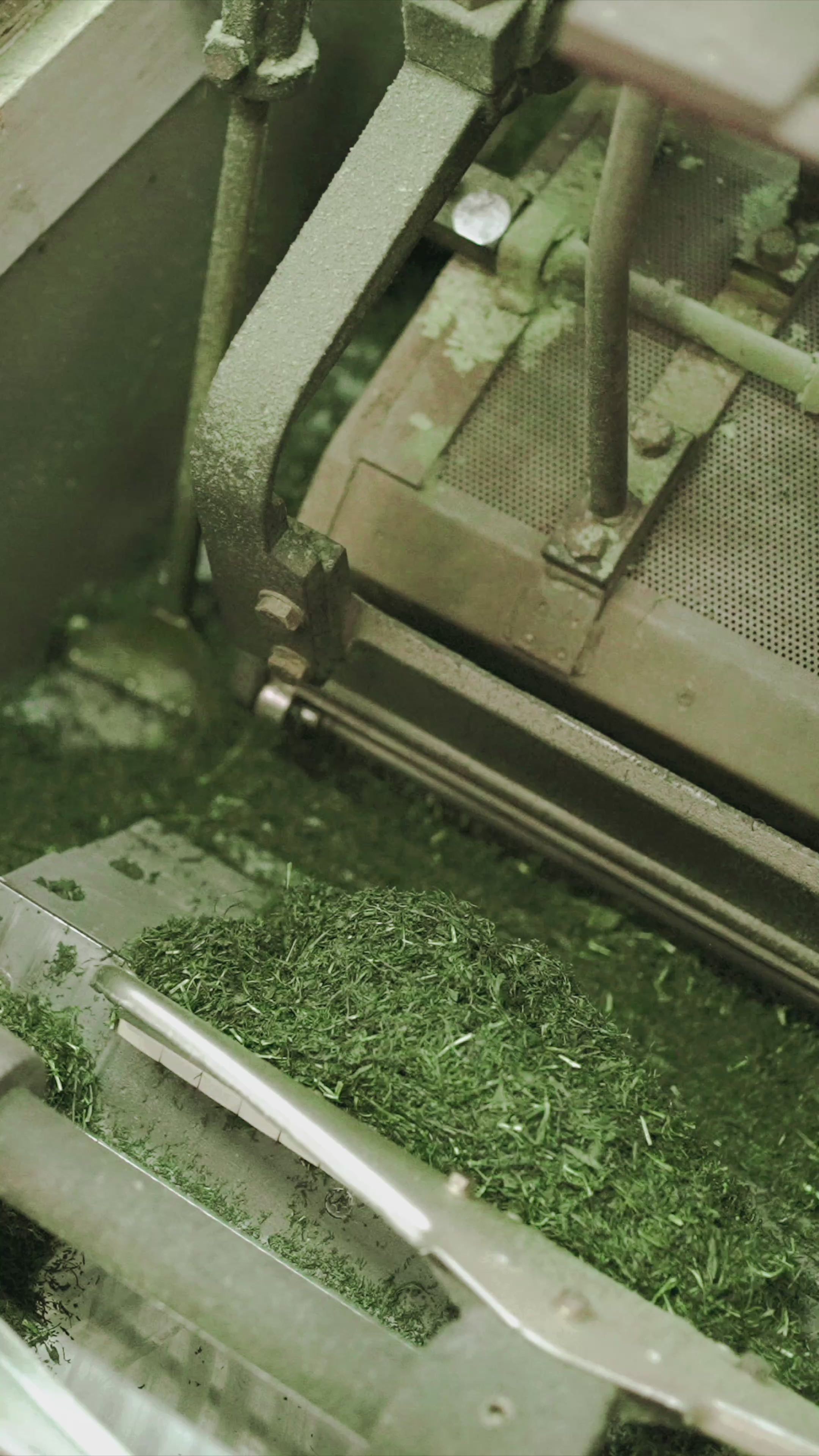 動画を読み込む