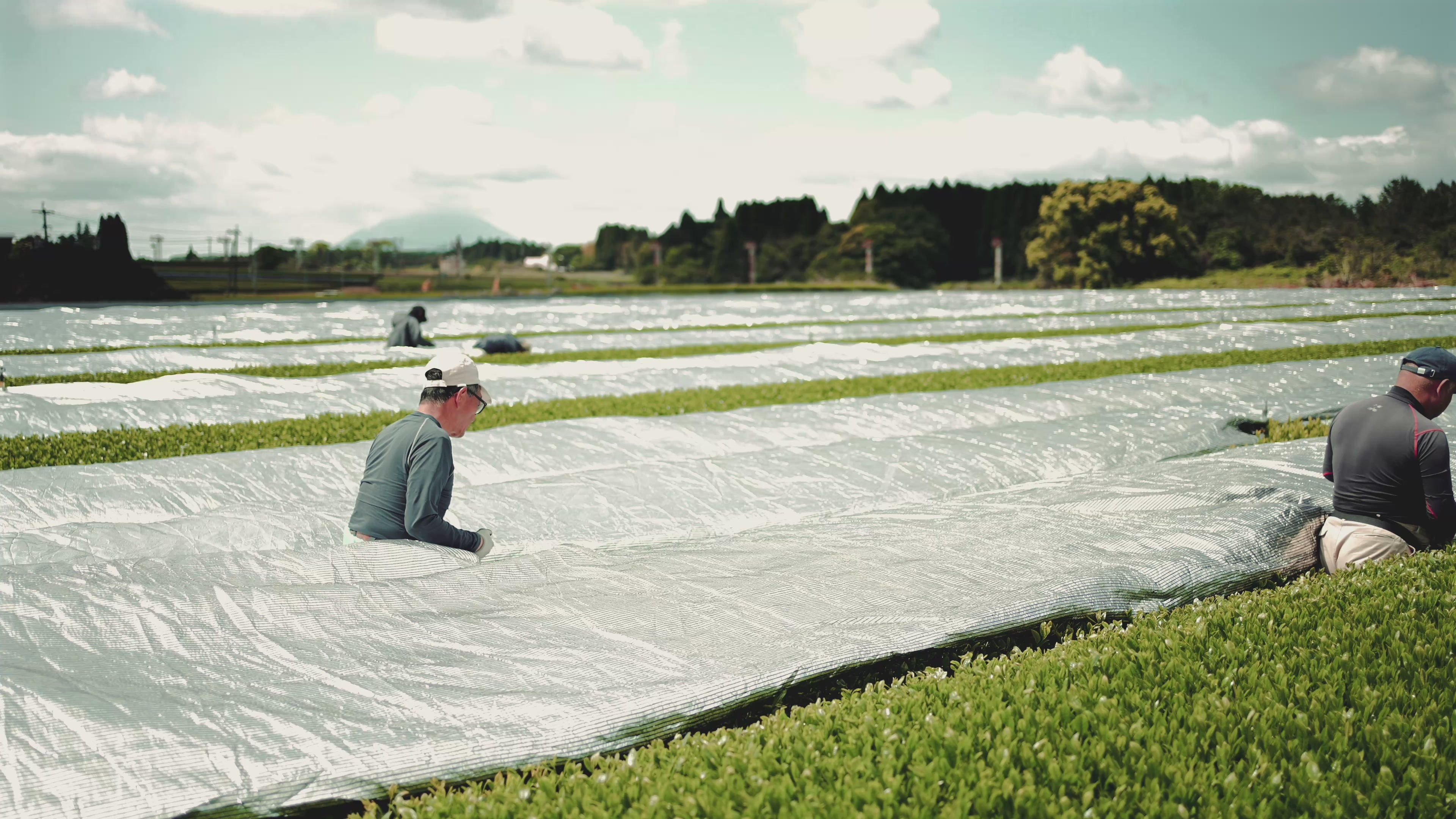 動画を読み込む