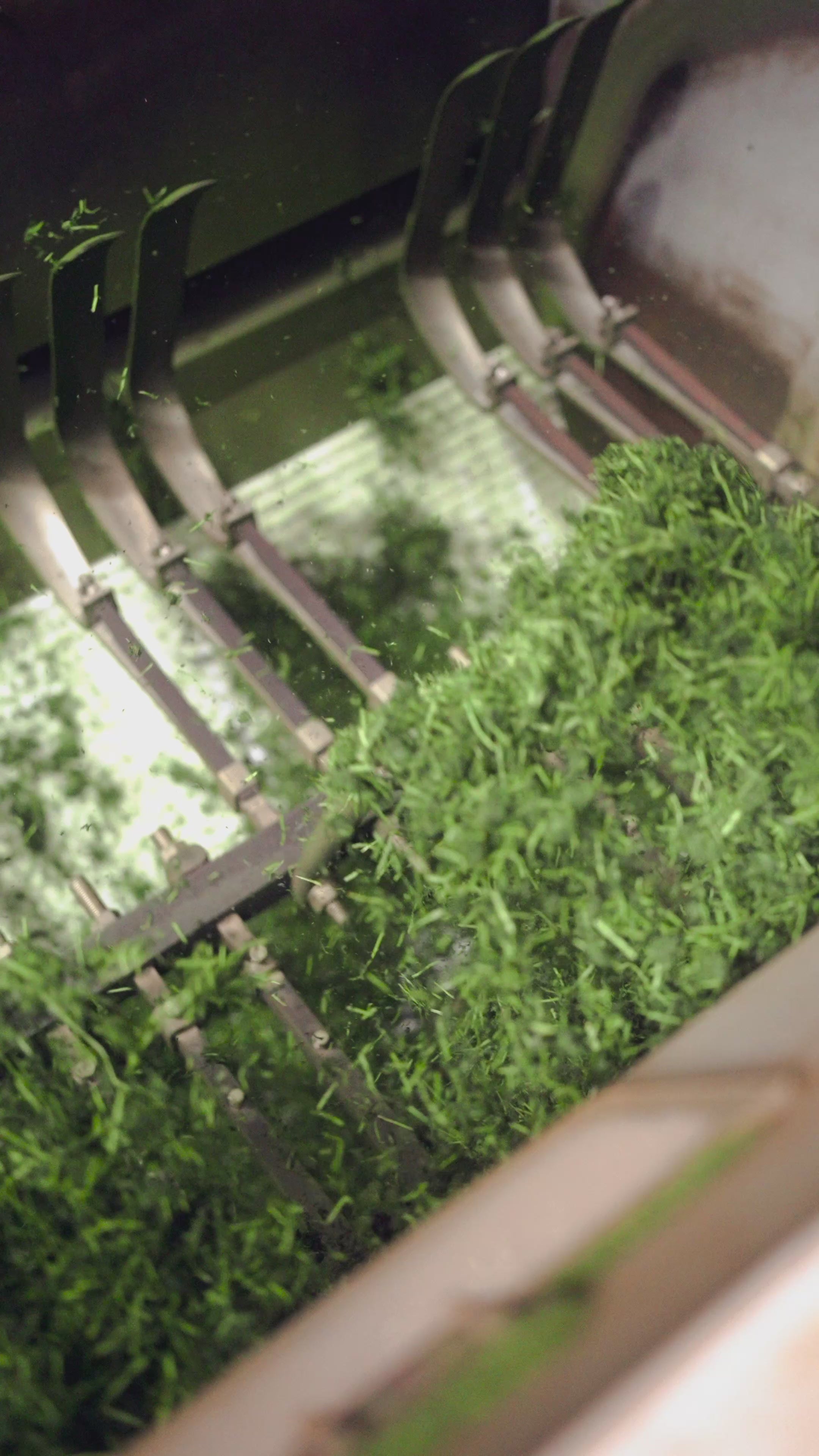 動画を読み込む