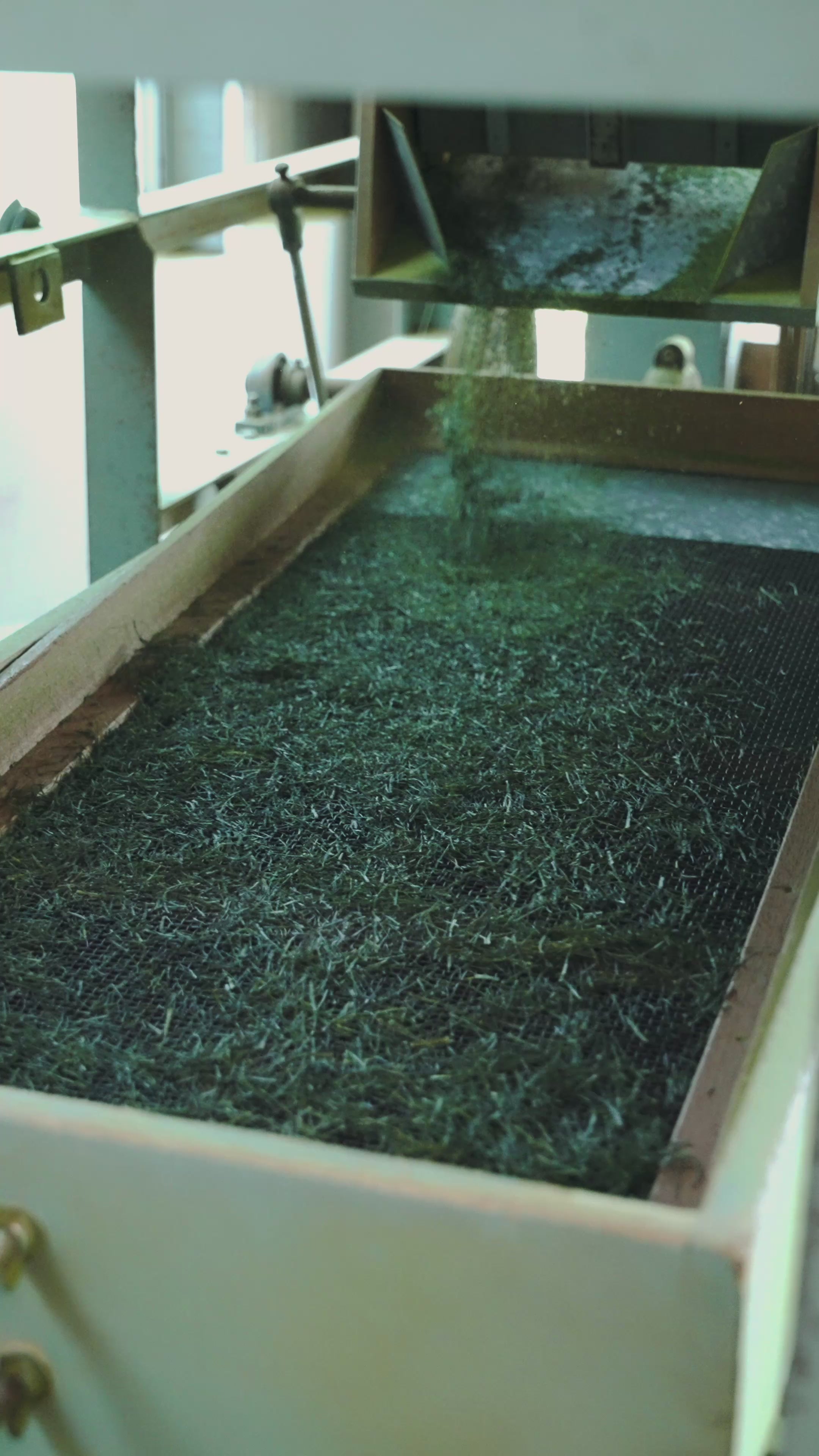 動画を読み込む