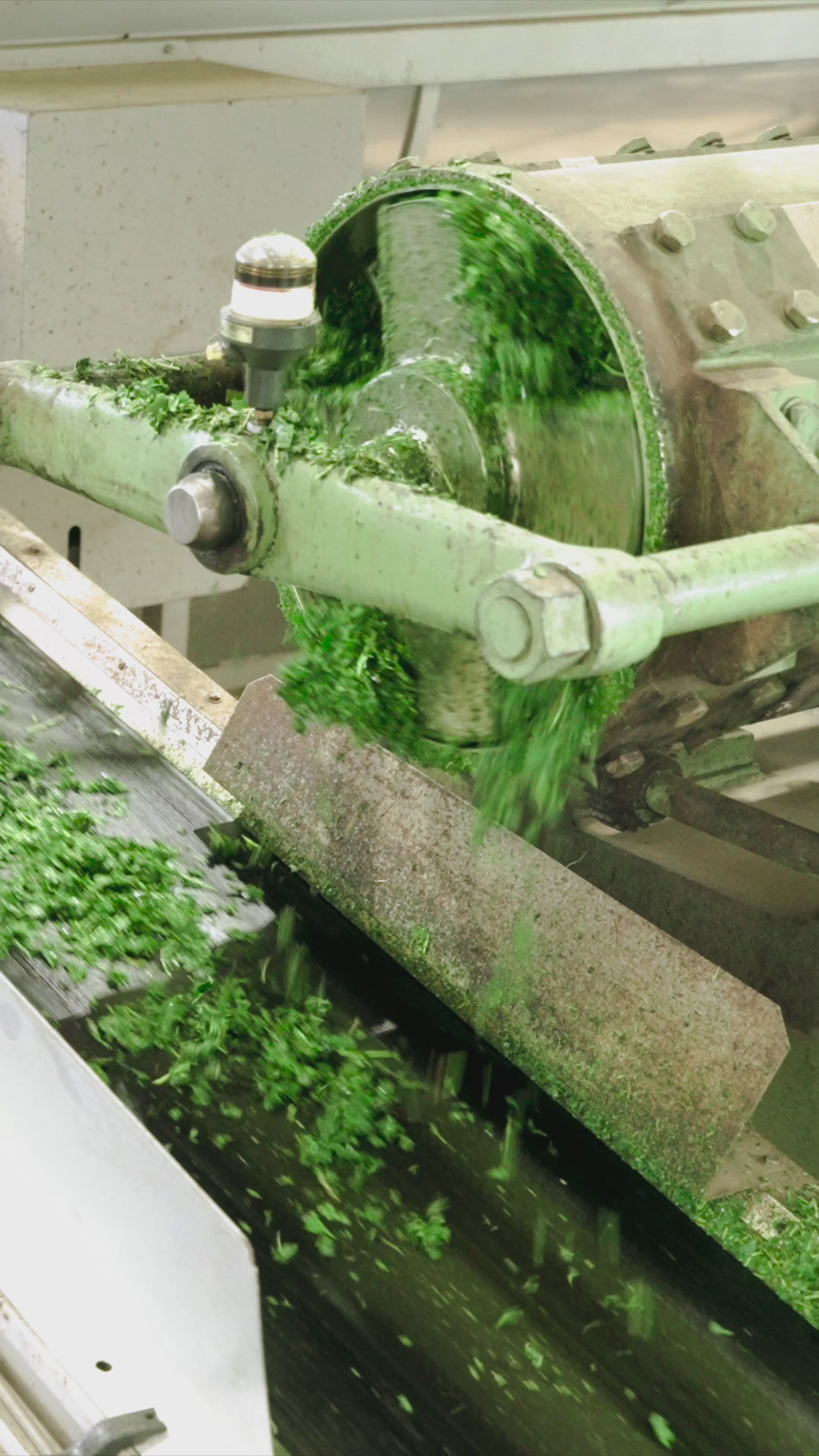 動画を読み込む